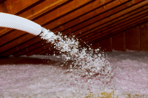 Types of Insulation We Offer in Hemet, CA